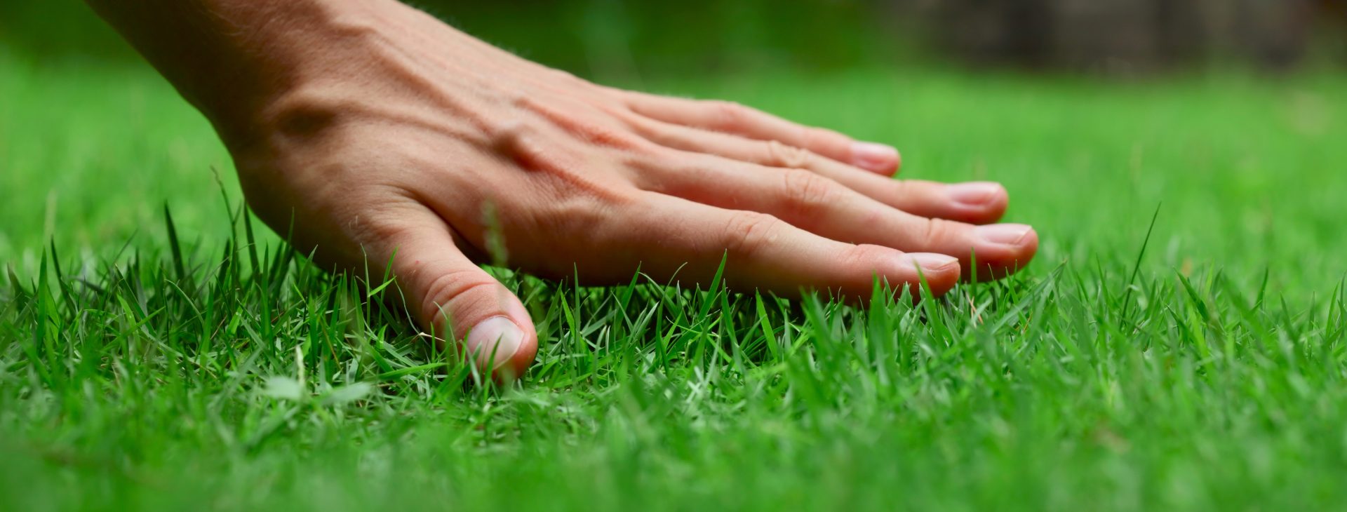 Your lawn and landscape<br />
the way that it should be
